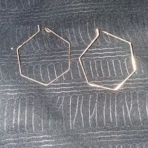Hexgon hoop earrings
